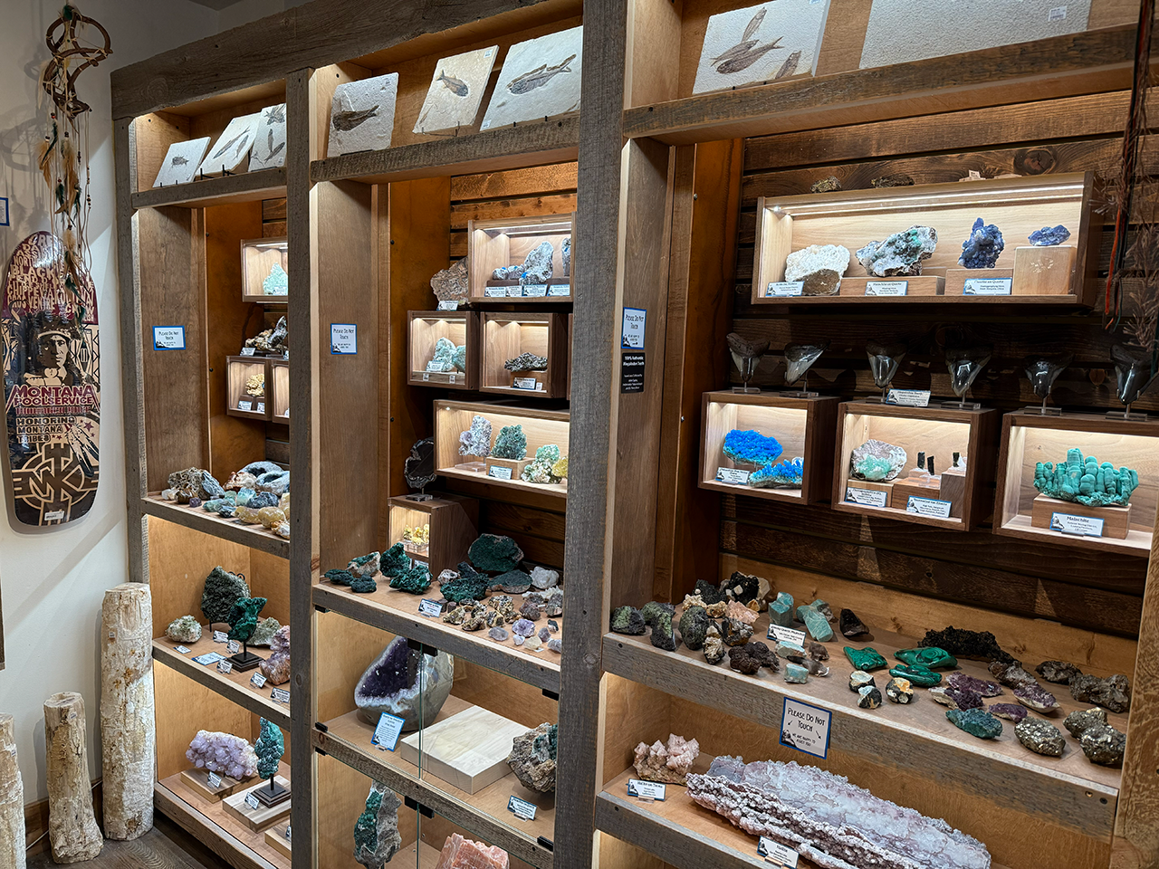 Mineral & Fossil Store Display Mineral & Fossil Store Display