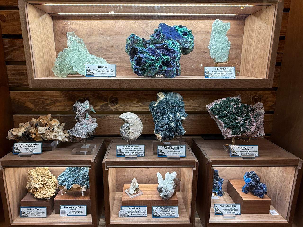 Mineral & Fossil Specimens Mineral & Fossil Specimens